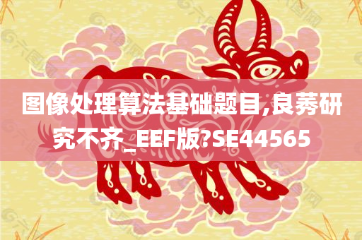 图像处理算法基础题目,良莠研究不齐_EEF版?SE44565