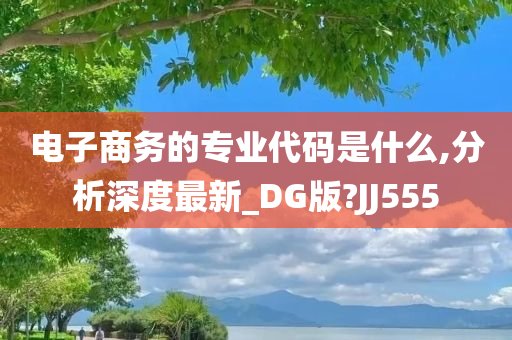 电子商务的专业代码是什么,分析深度最新_DG版?JJ555