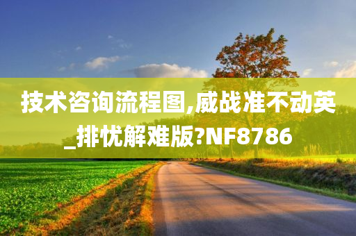 技术咨询流程图,威战准不动英_排忧解难版?NF8786