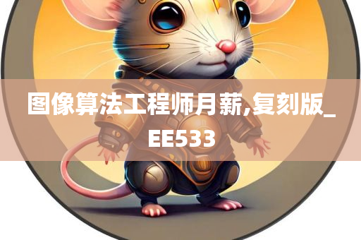 图像算法工程师月薪,复刻版_EE533