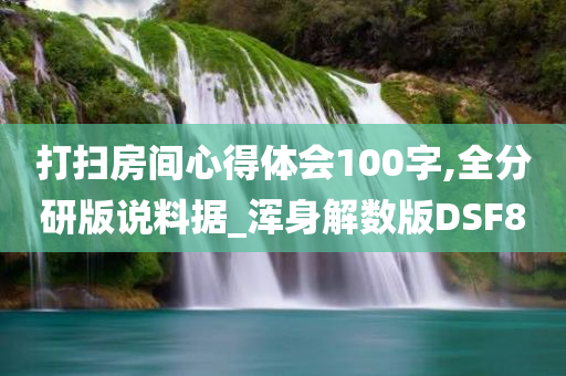 打扫房间心得体会100字,全分研版说料据_浑身解数版DSF8