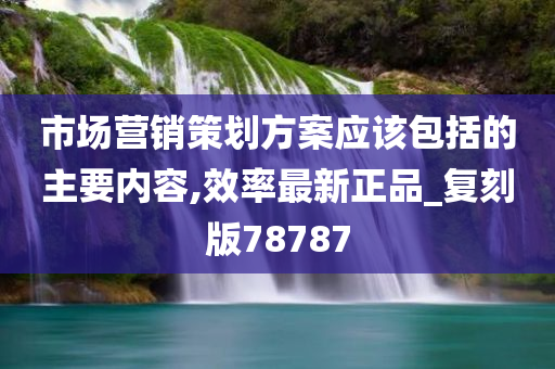 市场营销策划方案应该包括的主要内容,效率最新正品_复刻版78787