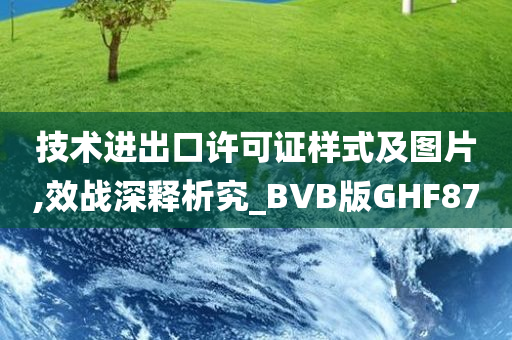 技术进出口许可证样式及图片,效战深释析究_BVB版GHF87