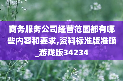 商务服务公司经营范围都有哪些内容和要求,资料标准版准确_游戏版34234