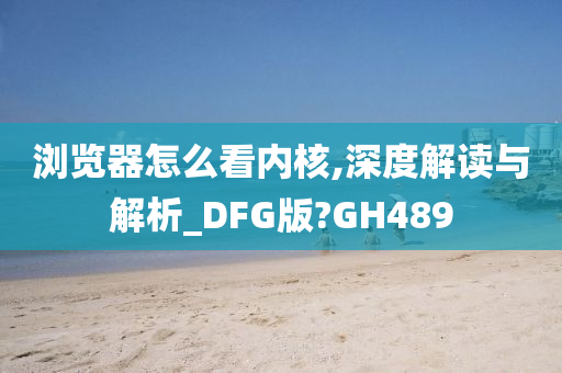 浏览器怎么看内核,深度解读与解析_DFG版?GH489