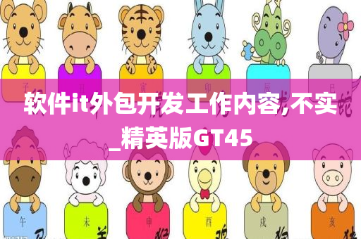 软件it外包开发工作内容,不实_精英版GT45