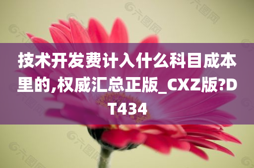 技术开发费计入什么科目成本里的,权威汇总正版_CXZ版?DT434