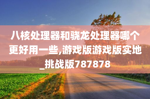 八核处理器和骁龙处理器哪个更好用一些,游戏版游戏版实地_挑战版787878