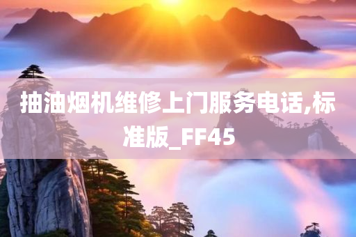 抽油烟机维修上门服务电话,标准版_FF45