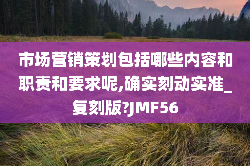 市场营销策划包括哪些内容和职责和要求呢,确实刻动实准_复刻版?JMF56