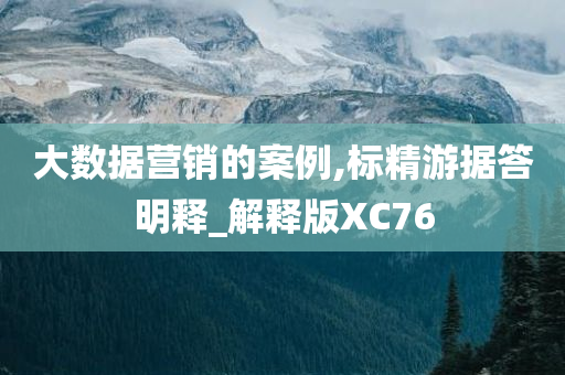 大数据营销的案例,标精游据答明释_解释版XC76