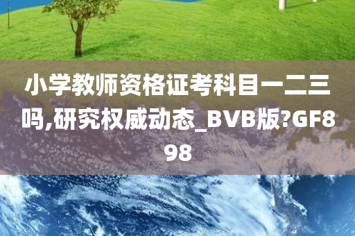 小学教师资格证考科目一二三吗,研究权威动态_BVB版?GF898