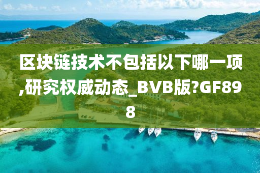 区块链技术不包括以下哪一项,研究权威动态_BVB版?GF898