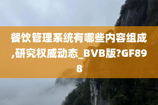 餐饮管理系统有哪些内容组成,研究权威动态_BVB版?GF898