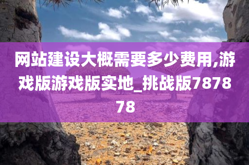 网站建设大概需要多少费用,游戏版游戏版实地_挑战版787878