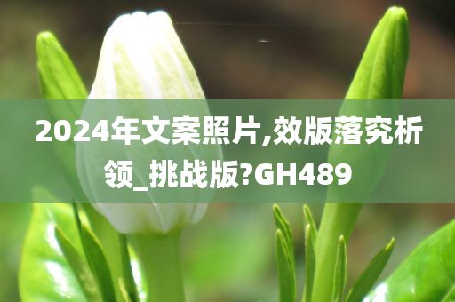 2024年文案照片,效版落究析领_挑战版?GH489