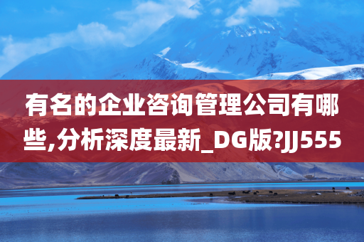 有名的企业咨询管理公司有哪些,分析深度最新_DG版?JJ555