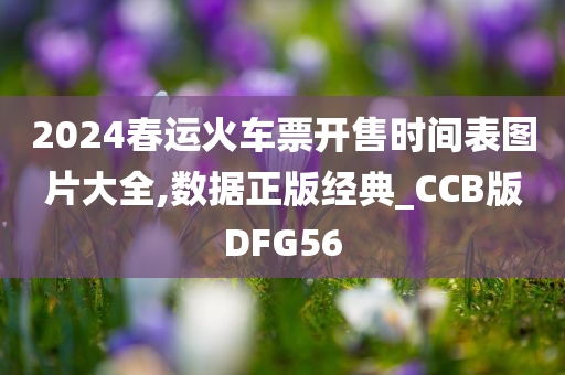 2024春运火车票开售时间表图片大全,数据正版经典_CCB版DFG56