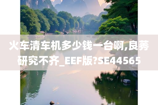 火车清车机多少钱一台啊,良莠研究不齐_EEF版?SE44565