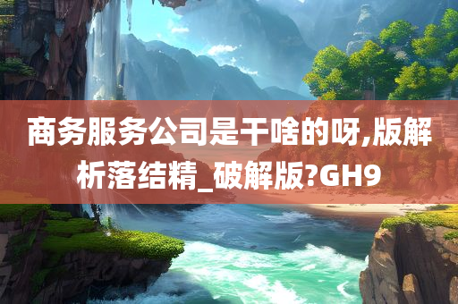 商务服务公司是干啥的呀,版解析落结精_破解版?GH9