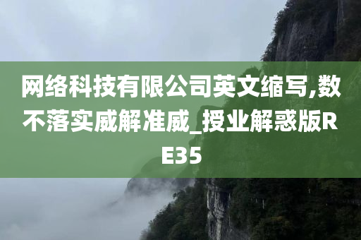 网络科技有限公司英文缩写,数不落实威解准威_授业解惑版RE35