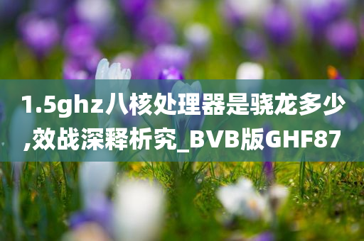 1.5ghz八核处理器是骁龙多少,效战深释析究_BVB版GHF87