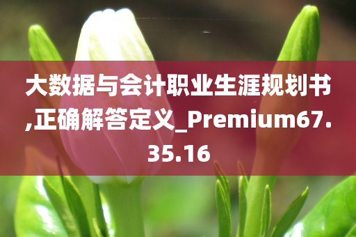 大数据与会计职业生涯规划书,正确解答定义_Premium67.35.16