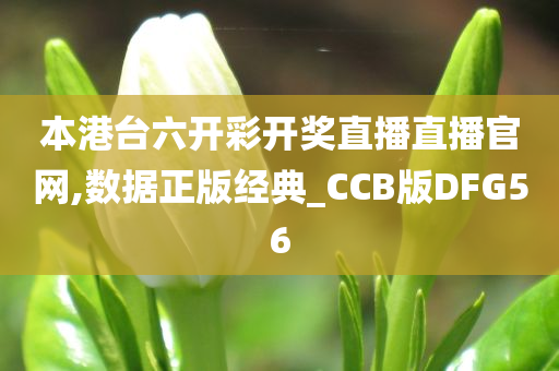 本港台六开彩开奖直播直播官网,数据正版经典_CCB版DFG56