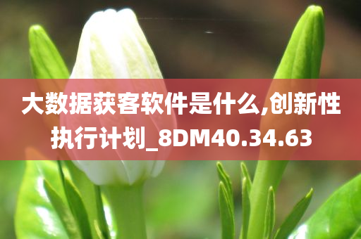 大数据获客软件是什么,创新性执行计划_8DM40.34.63