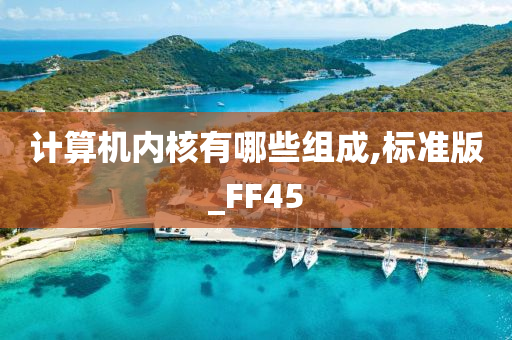 计算机内核有哪些组成,标准版_FF45