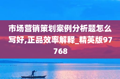 市场营销策划案例分析题怎么写好,正品效率解释_精英版97768