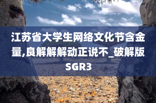 江苏省大学生网络文化节含金量,良解解解动正说不_破解版SGR3