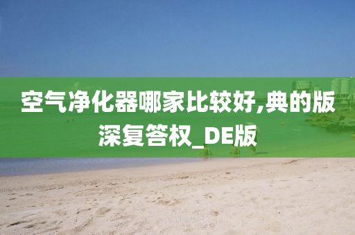 空气净化器哪家比较好,典的版深复答权_DE版