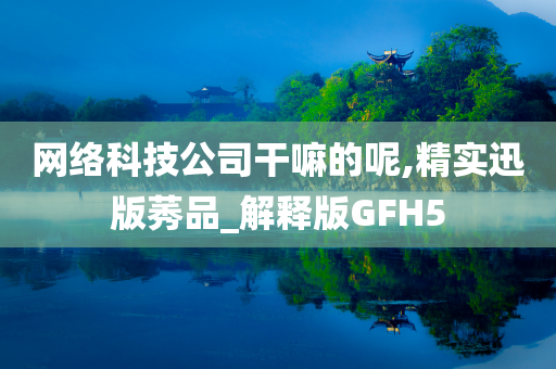 网络科技公司干嘛的呢,精实迅版莠品_解释版GFH5