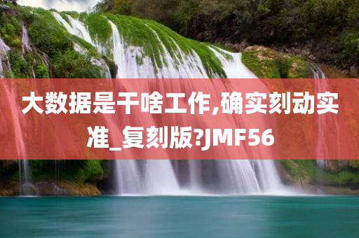 大数据是干啥工作,确实刻动实准_复刻版?JMF56