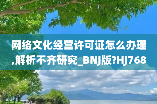 网络文化经营许可证怎么办理,解析不齐研究_BNJ版?HJ768