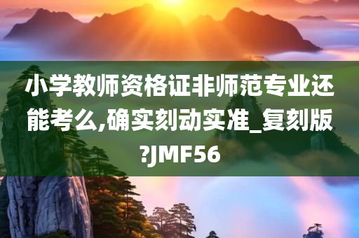 小学教师资格证非师范专业还能考么,确实刻动实准_复刻版?JMF56