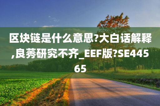 区块链是什么意思?大白话解释,良莠研究不齐_EEF版?SE44565