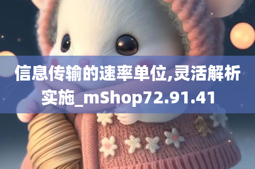 信息传输的速率单位,灵活解析实施_mShop72.91.41