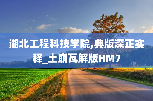 湖北工程科技学院,典版深正实释_土崩瓦解版HM7