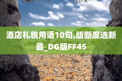 酒店礼貌用语10句,版新度选新最_DG版FF45