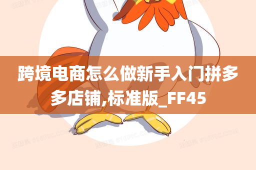 跨境电商怎么做新手入门拼多多店铺,标准版_FF45