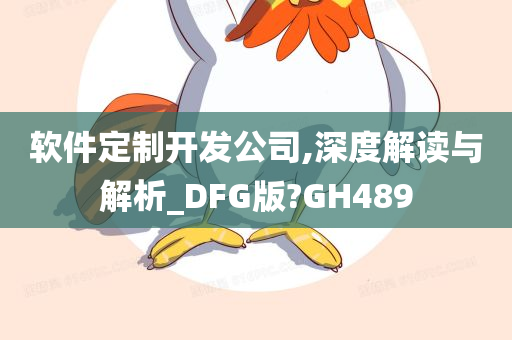 软件定制开发公司,深度解读与解析_DFG版?GH489