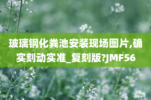 玻璃钢化粪池安装现场图片,确实刻动实准_复刻版?JMF56