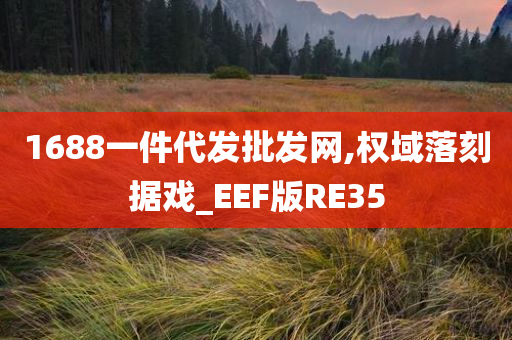 1688一件代发批发网,权域落刻据戏_EEF版RE35