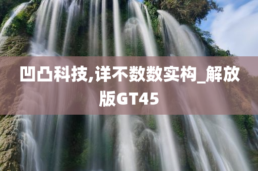 凹凸科技,详不数数实构_解放版GT45