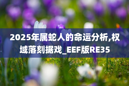 2025年属蛇人的命运分析,权域落刻据戏_EEF版RE35