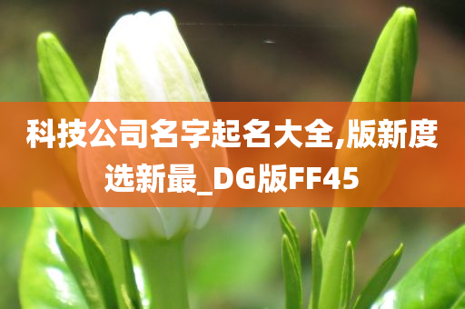 科技公司名字起名大全,版新度选新最_DG版FF45