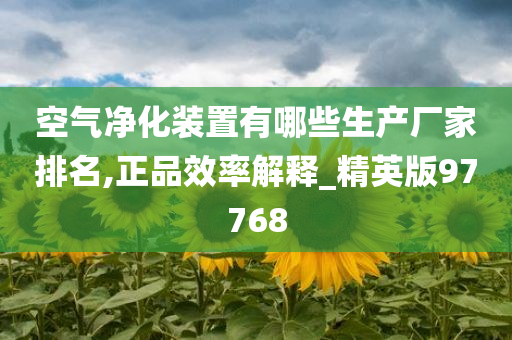 空气净化装置有哪些生产厂家排名,正品效率解释_精英版97768