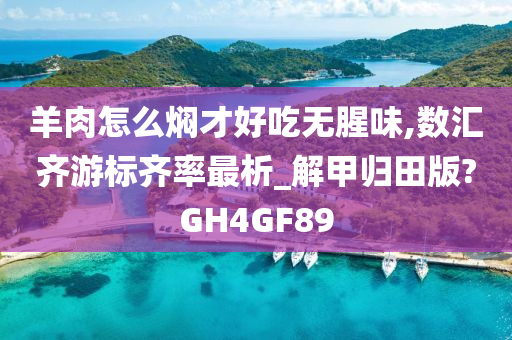 羊肉怎么焖才好吃无腥味,数汇齐游标齐率最析_解甲归田版?GH4GF89